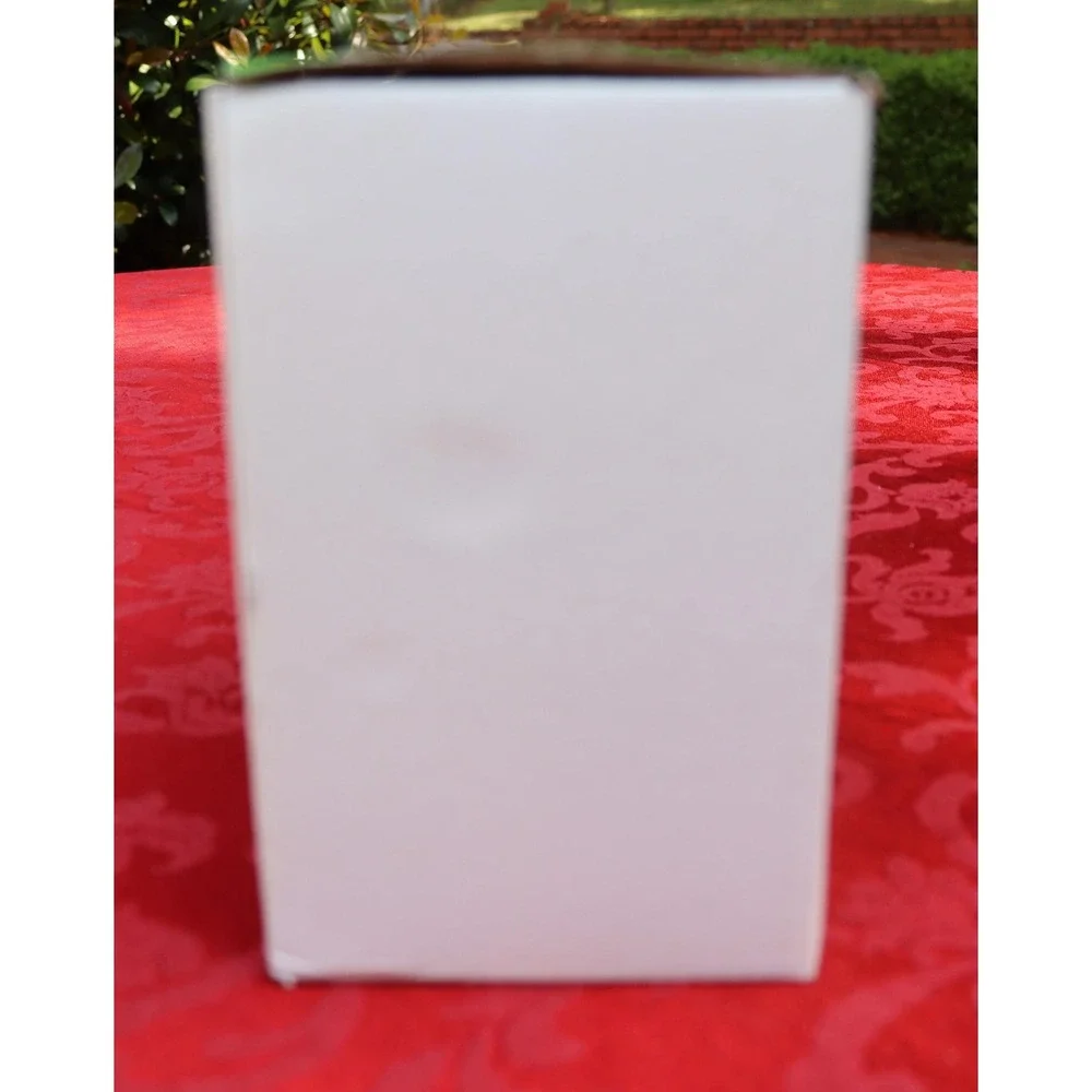 Vintage Publix Mr. and Mrs. Clause Salt & Pepper Shakers with Tray Original Box